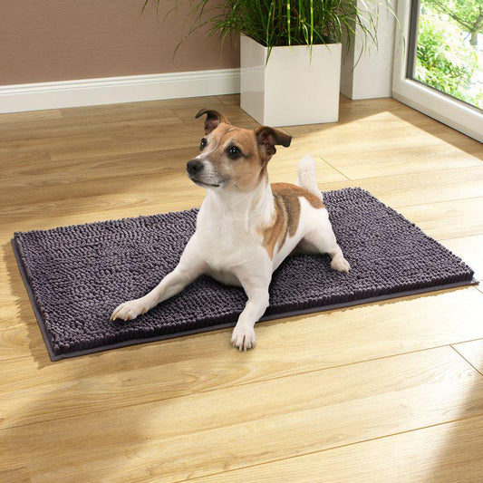 Soft grey pet fleece