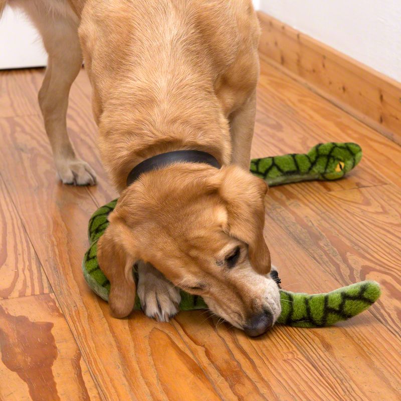 Squeaky snake dog toy