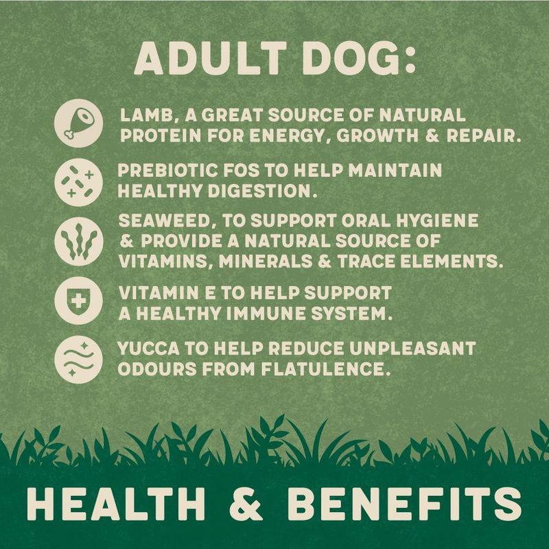 Natural dog food with lamb