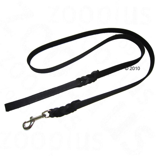 Black leather leash