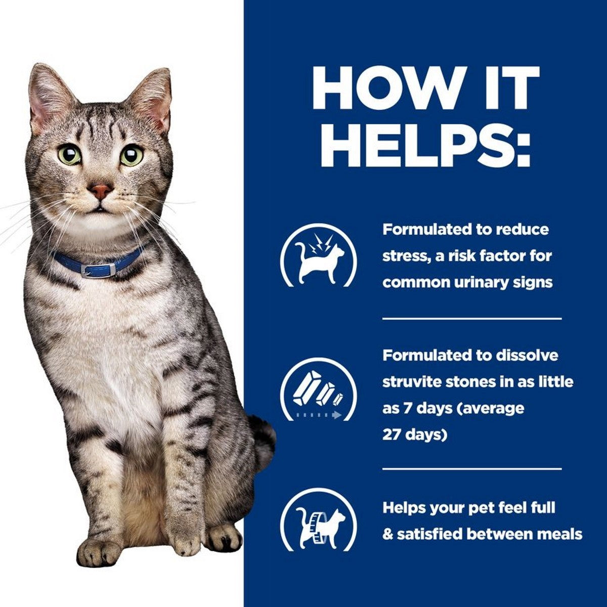 Cat beside Hill’s c/d Stress + Metabolic bag