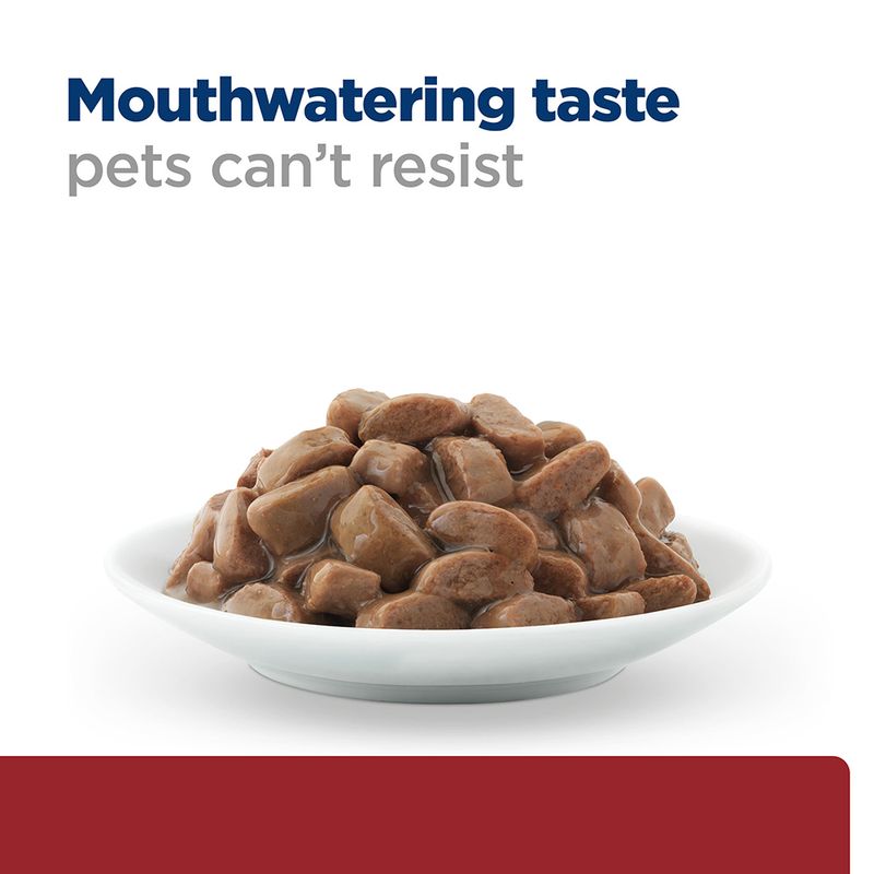 Salmon digestive cat diet