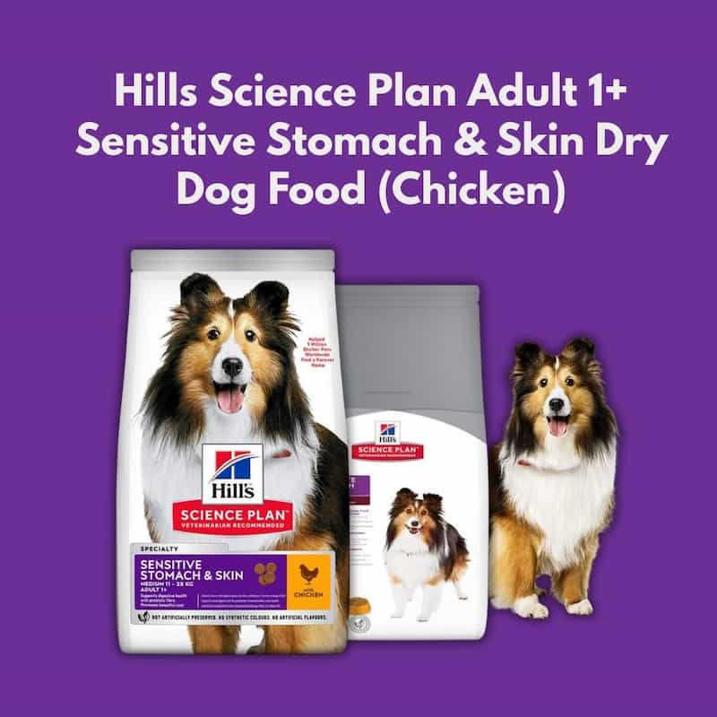 Hills Science Plan Adult 1+ Sensitive Stomach & Skin Dry Dog Food packaging with a purple background