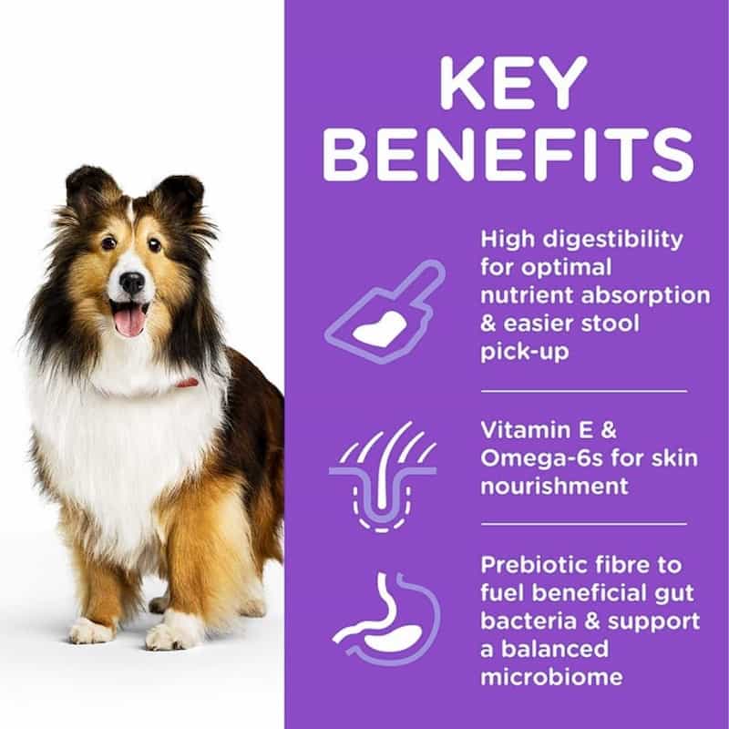 Dog with key benefits text on a purple background