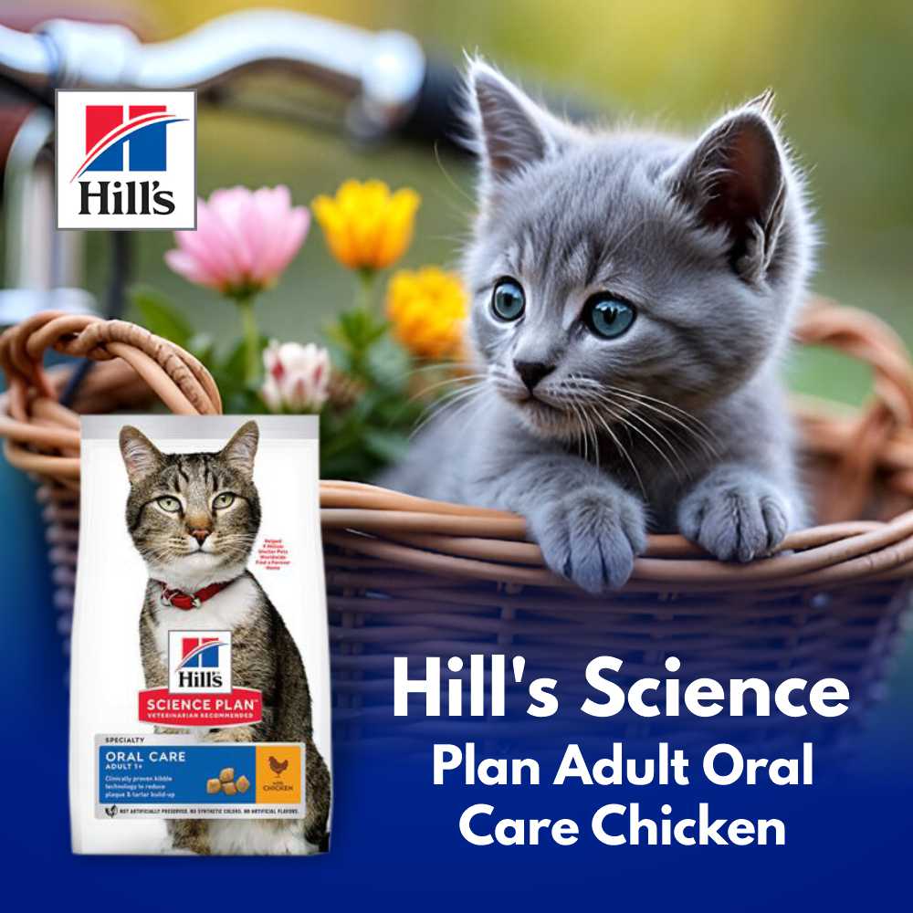 Hill's Science Plan Adult Oral Care Chicken