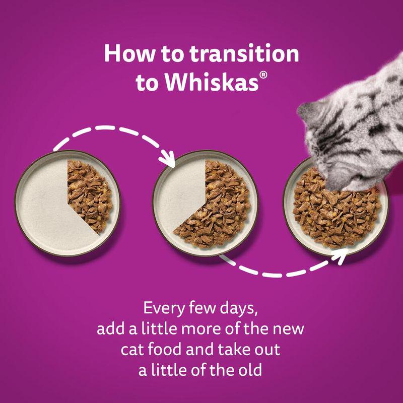 Whiskas 1+ wet food