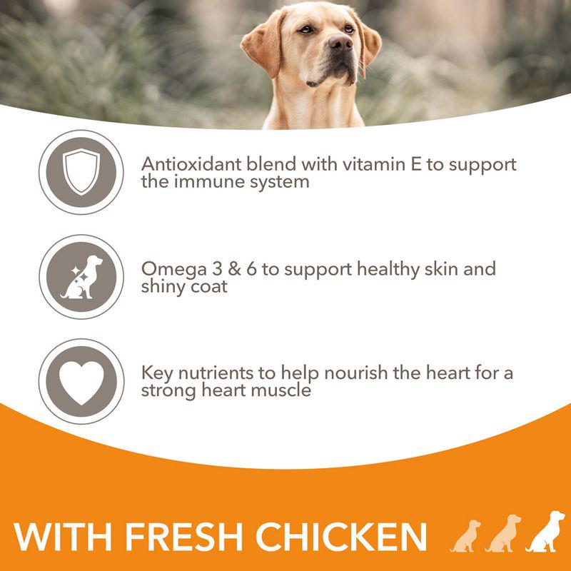 IAMS chicken food for big dogs