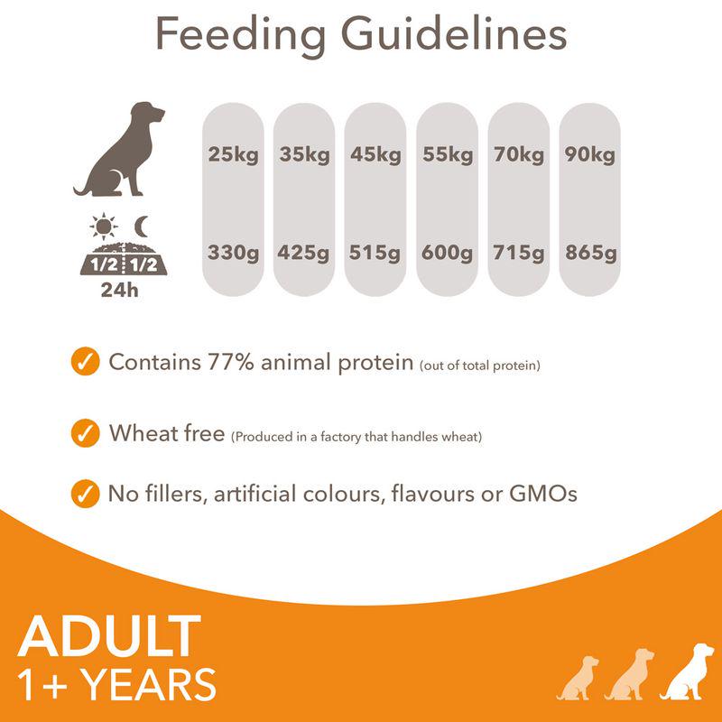 IAMS nutrition for big breeds