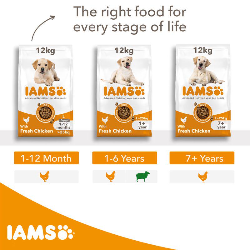IAMS chicken diet for adults