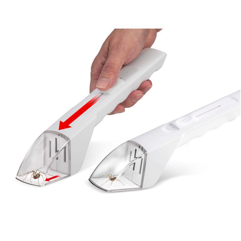 No-kill insect catcher