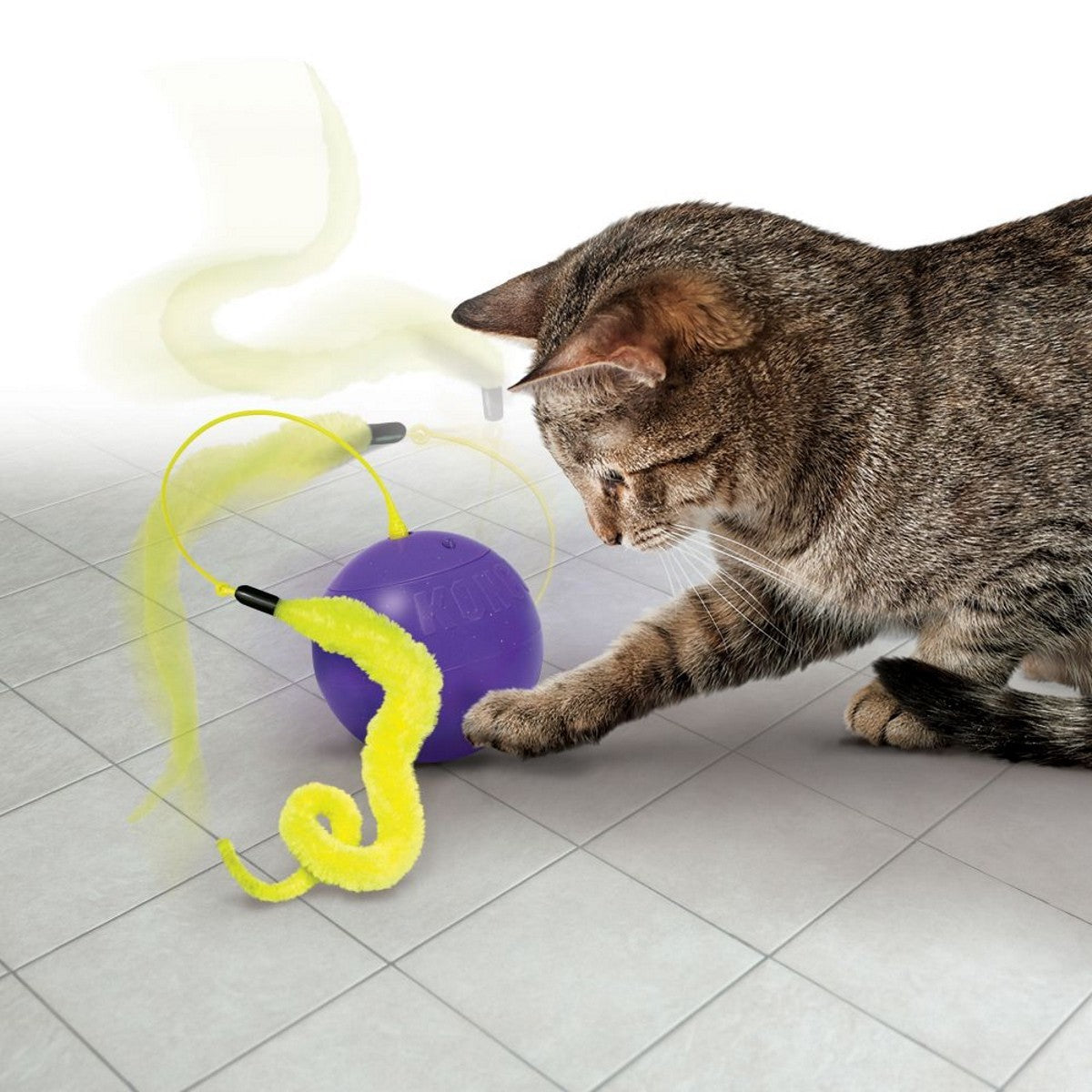 Cat playing with a purple ball and yellow snake toy on a tiled floor.