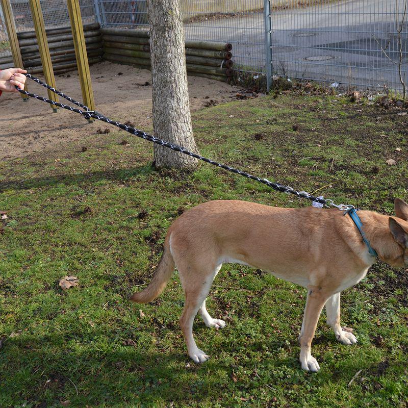 Fluorescent rope lead
