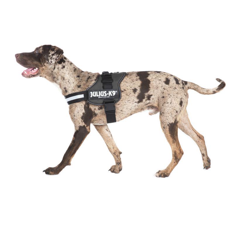 Comfortable walking harness
