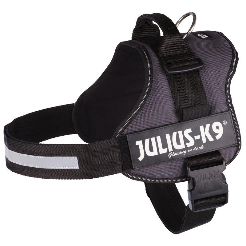 Power harness for dogs