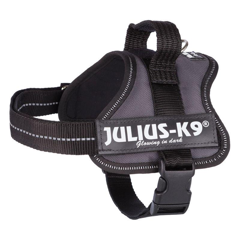 Dog control harness