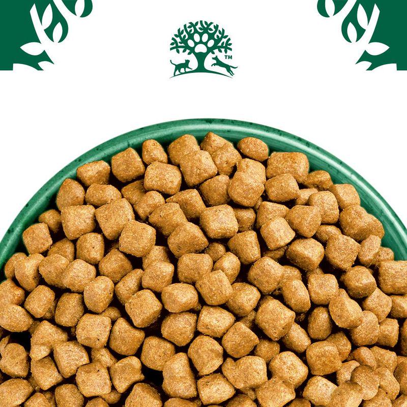 Adult cat food for sensitive cats