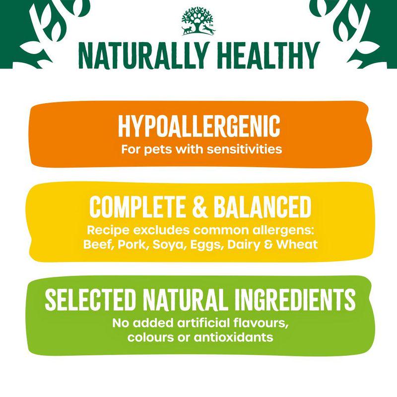 Hypoallergenic adult dog mix