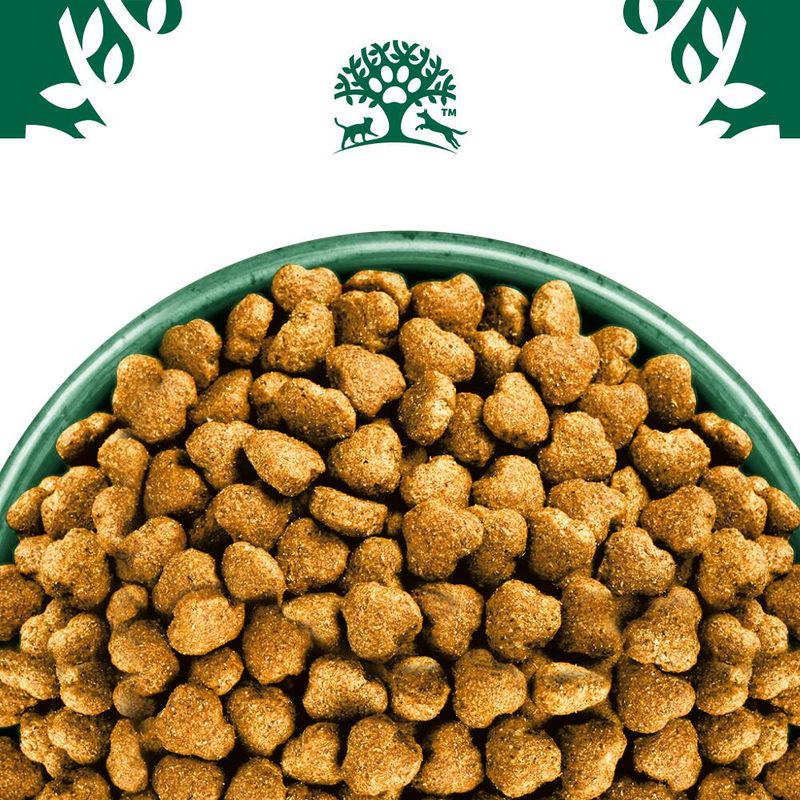 Dog food for allergies