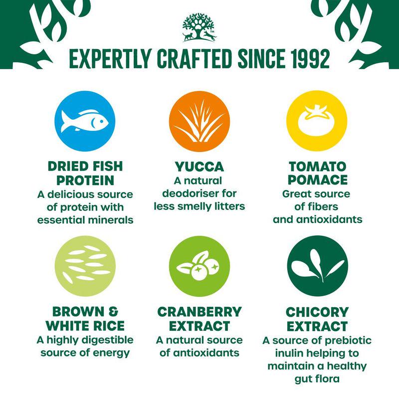 Gentle food for older cats