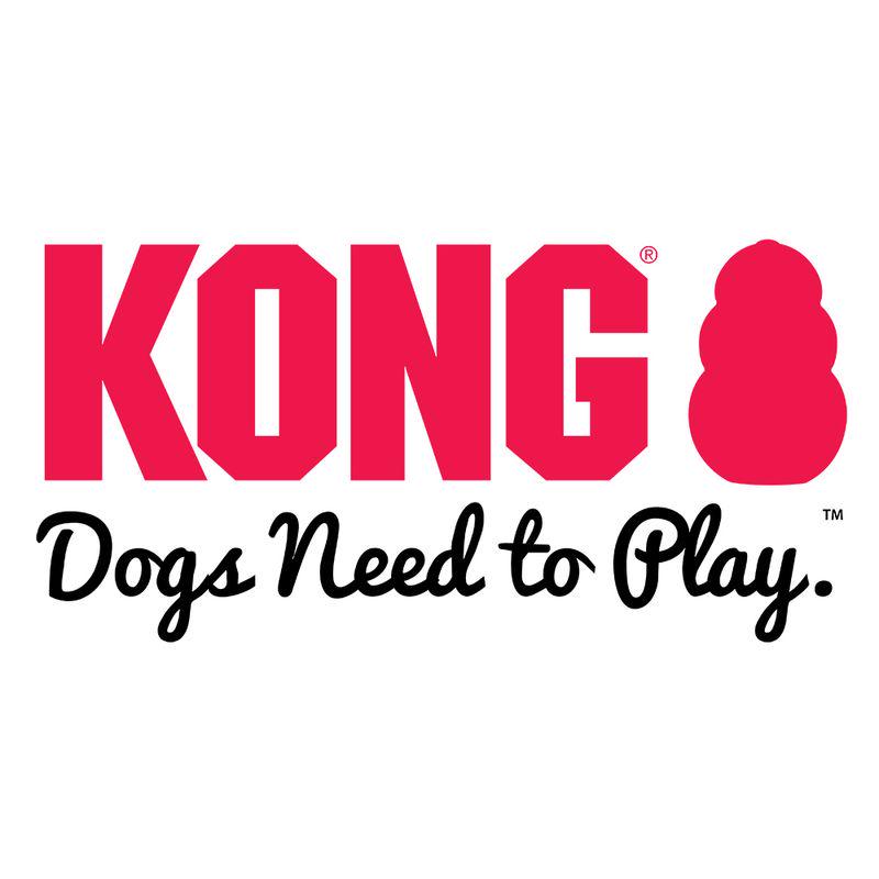 KONG rubber ball toy
