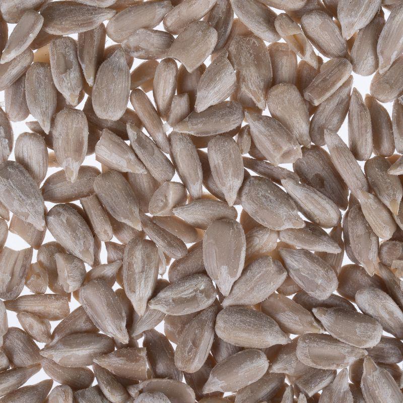 Clean sunflower bird food