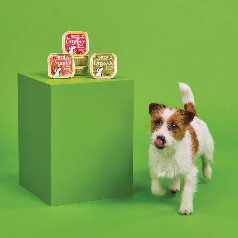 Chicken supper organic food