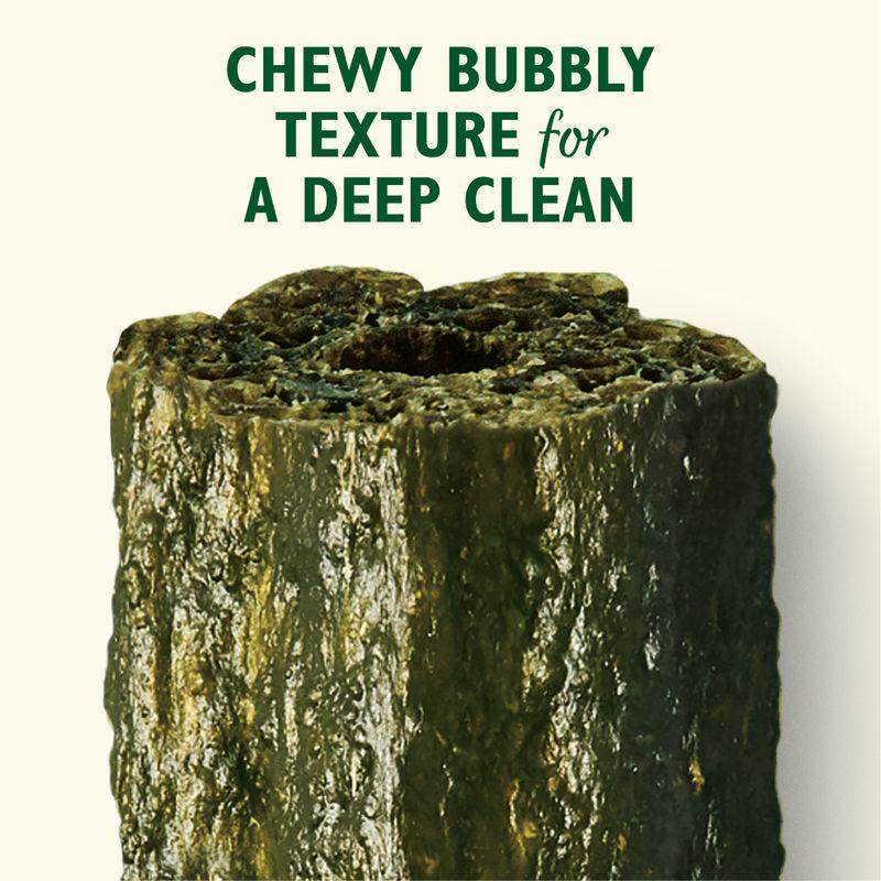 Woofbrush dental stick