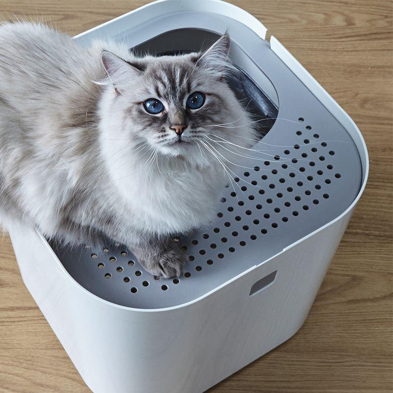 Compact cat toilet