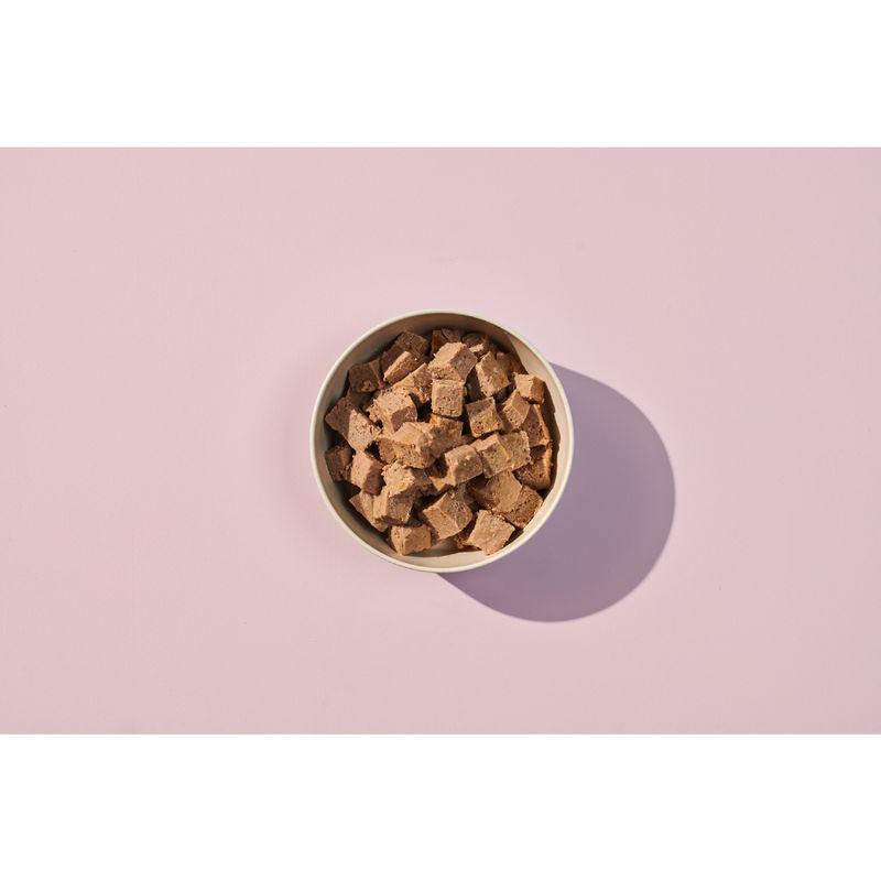 grain free dog salmon