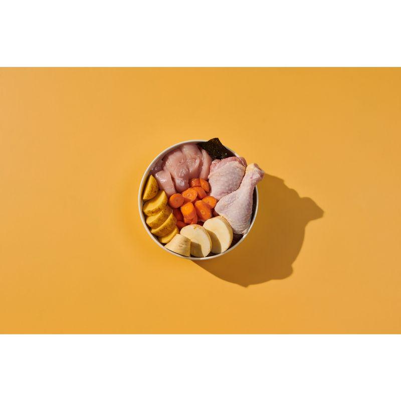 chicken dog food adult