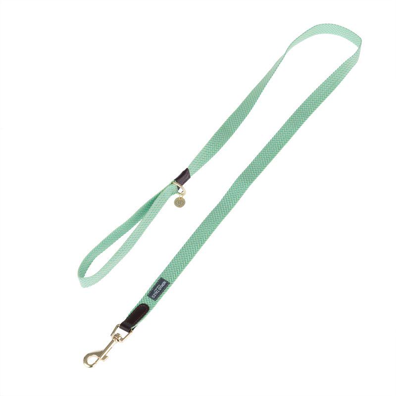 Mint dog leash