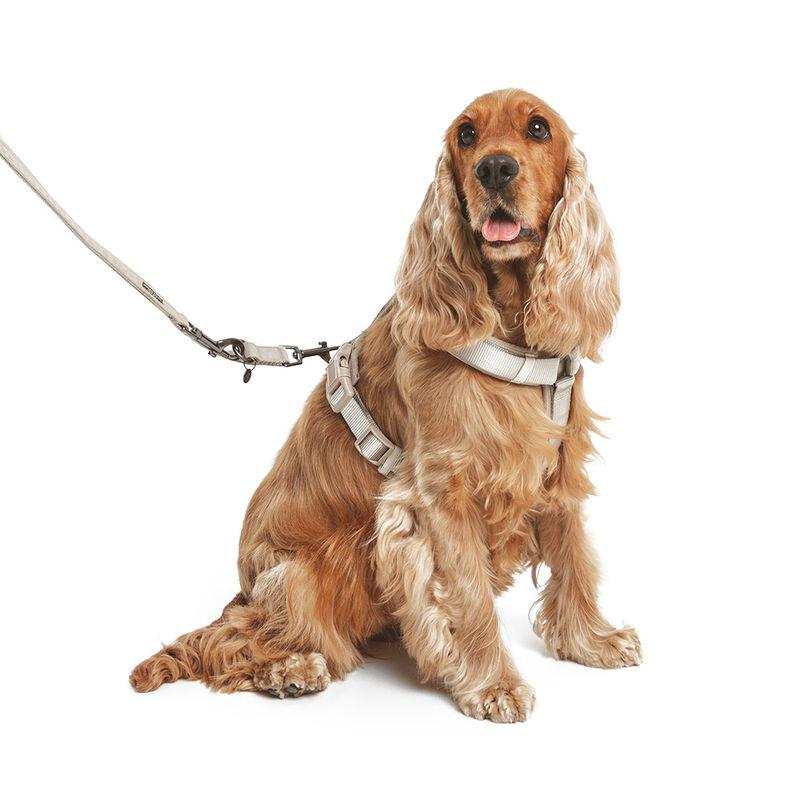 Round braided leash