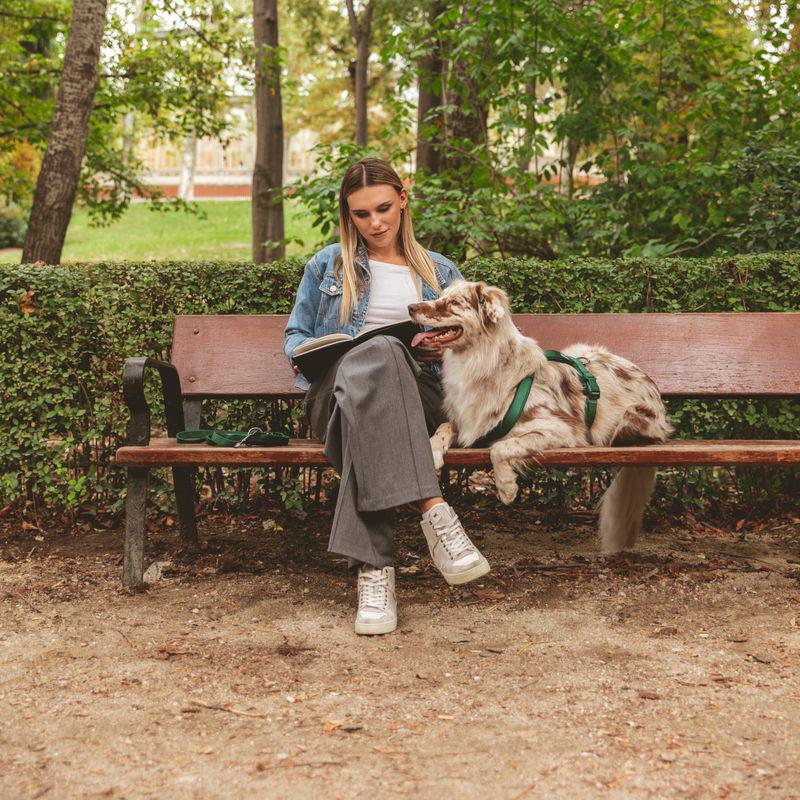 Breathable dog harness