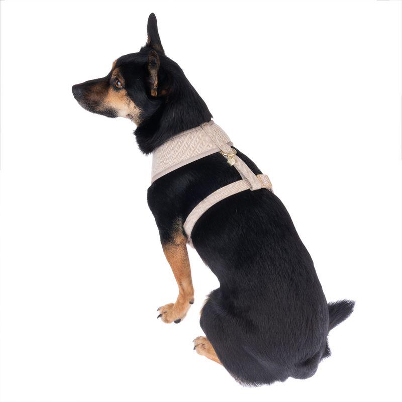 Herringbone pattern harness