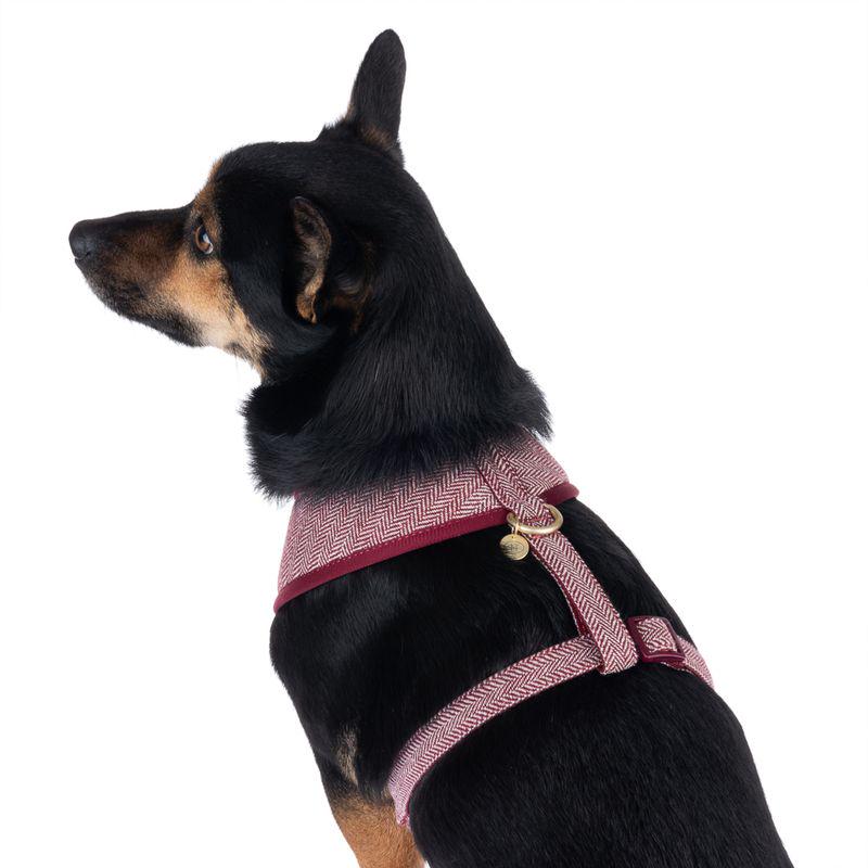 Lightweight pet harness