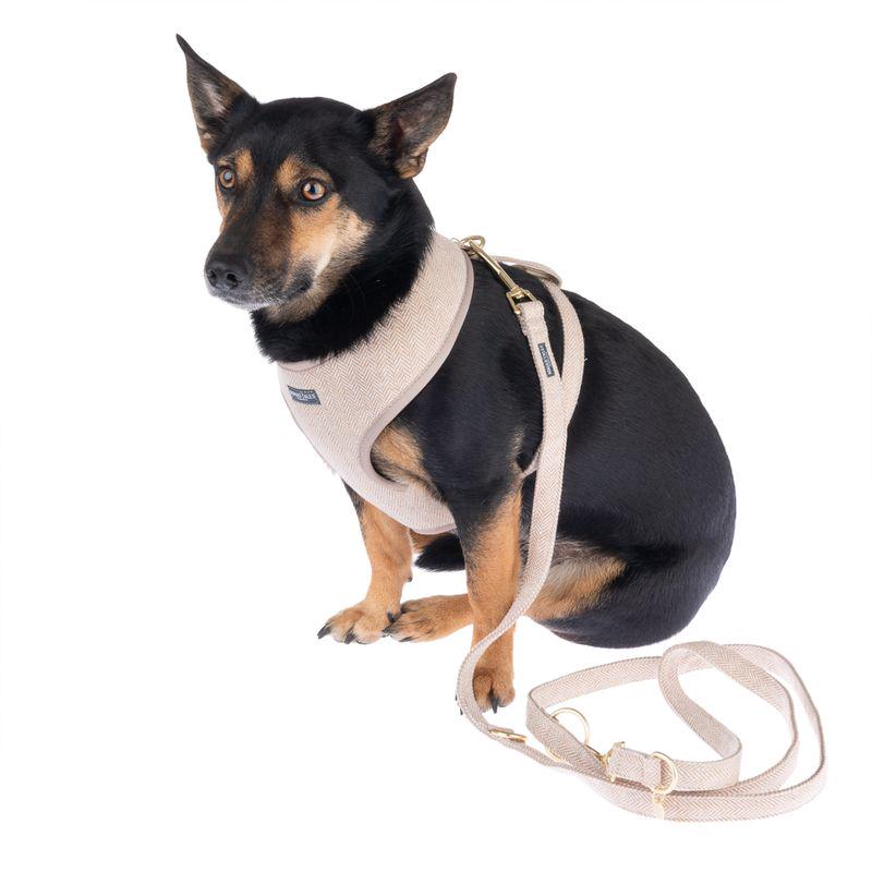 Outdoor dog harness