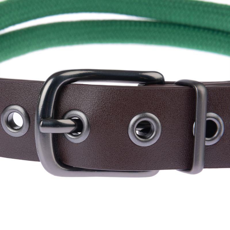 Elegant pine dog collar