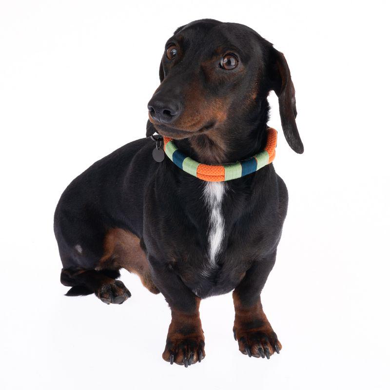 Durable adjustable pet collar