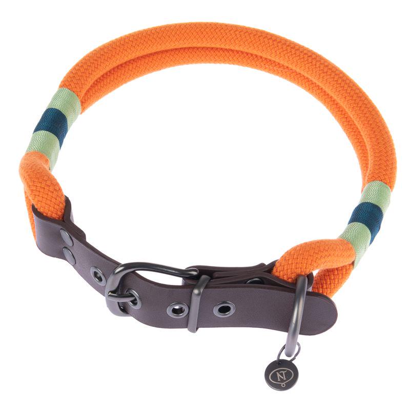 Tangerine spirit pet collar