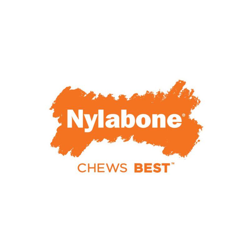 Nylabone for teething