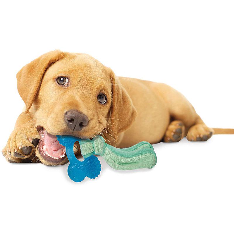 Nylabone Puppy Chill and Chew Toy