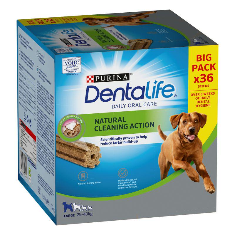 Daily dental care for big dogs