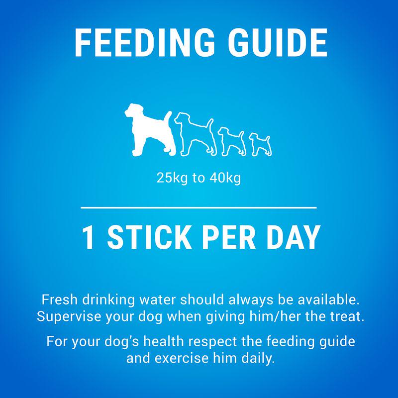 Plaque control dog sticks