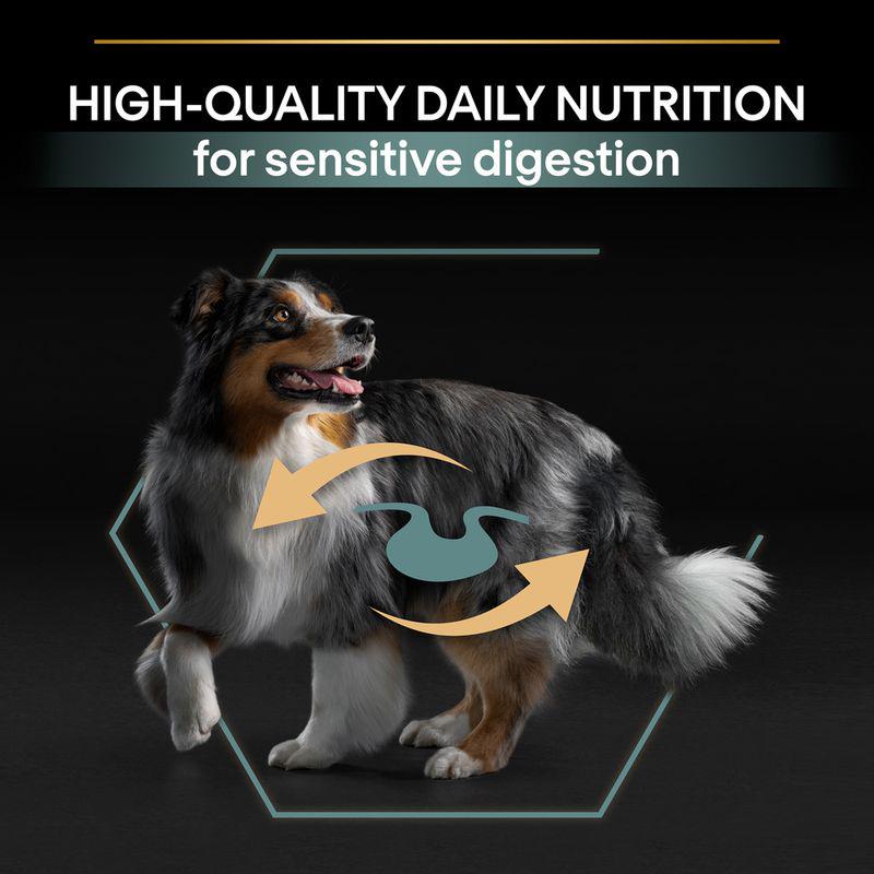 Adult dog gentle food