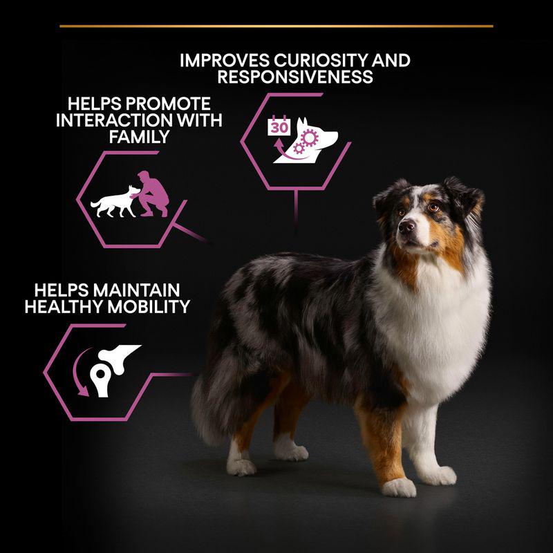 Medium & large senior formula