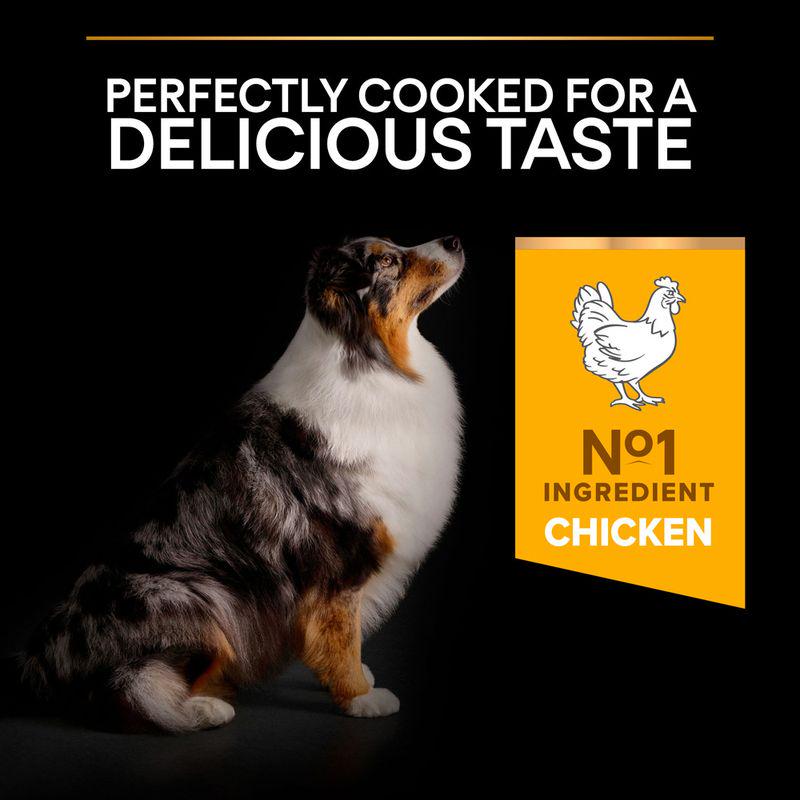 Pro Plan 7+ adult kibble