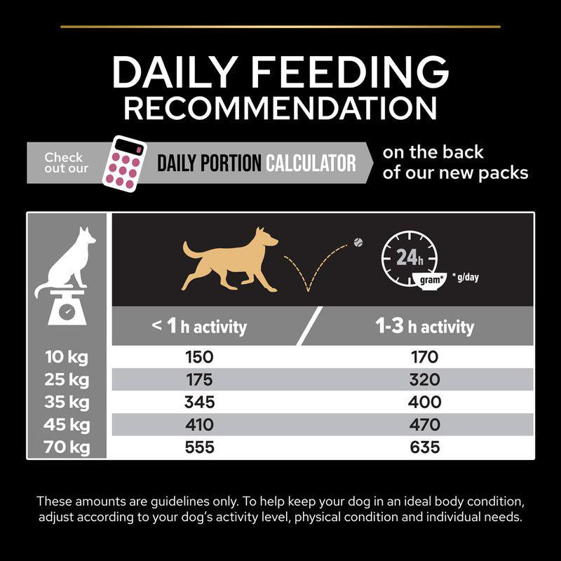 Pro Plan 7+ senior dog kibble