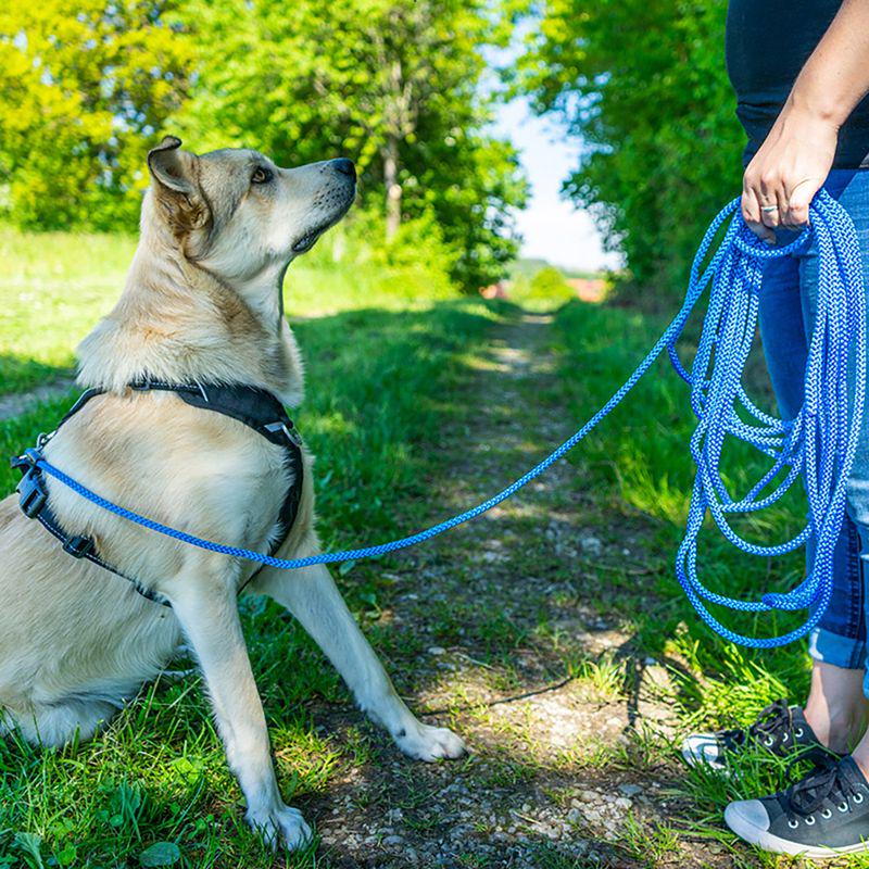 blue braided rope