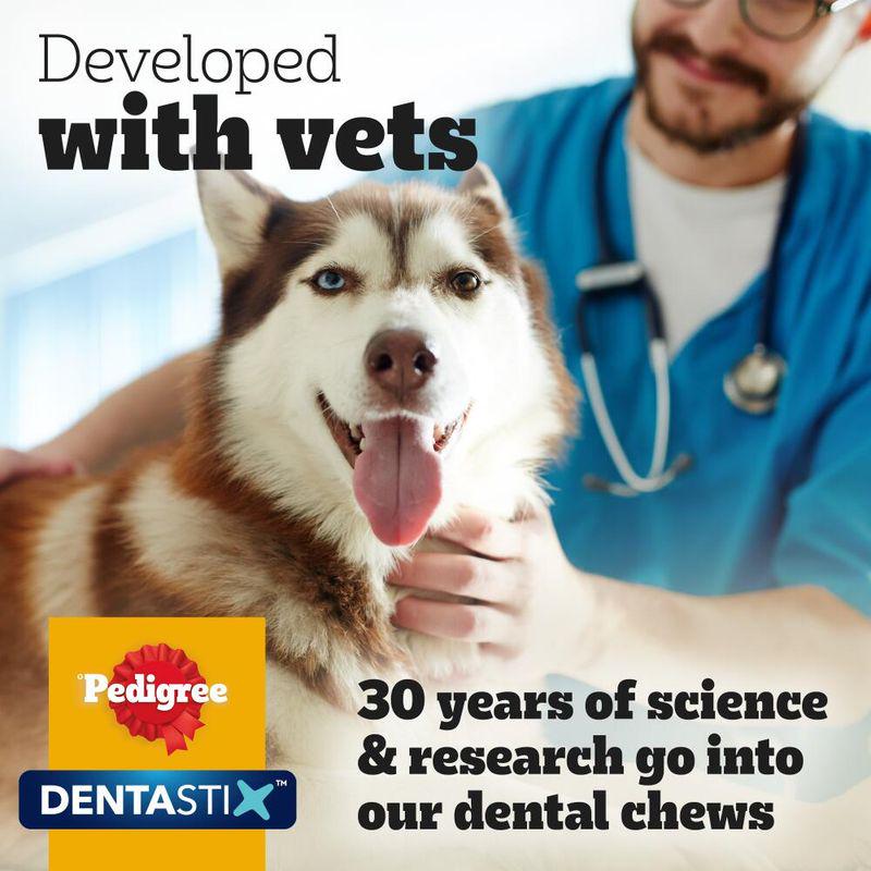 Tasty dental chews for dogs