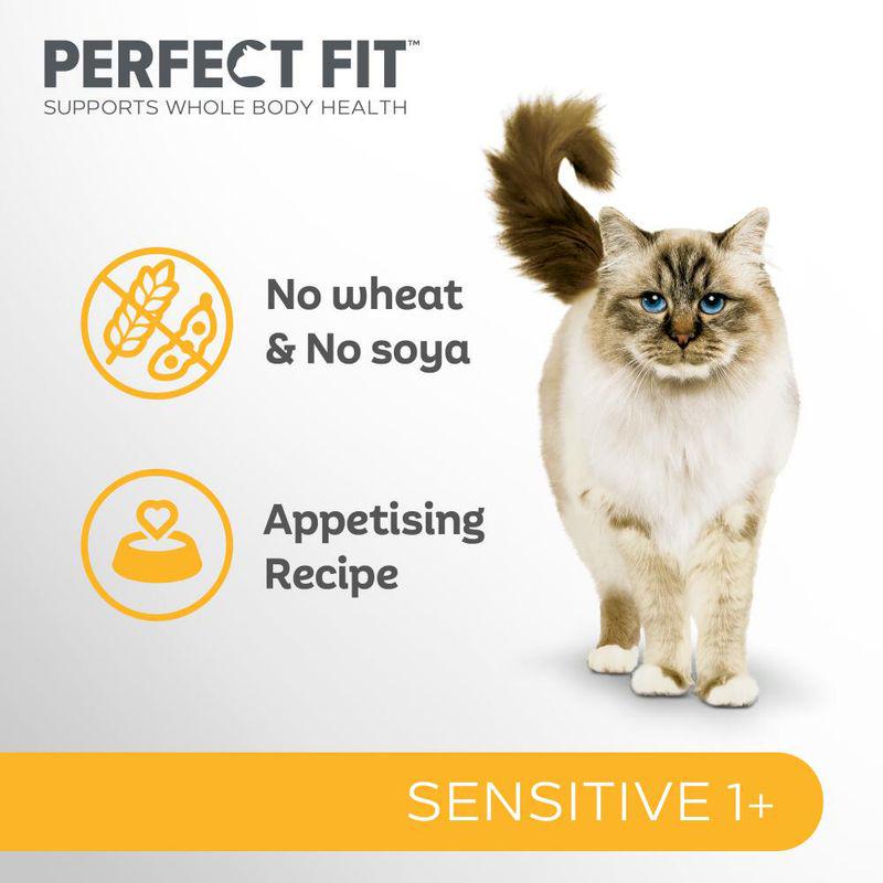 Adult cat balanced nutrition